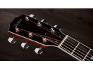 Taylor Legacy 810e 