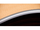 Taylor Legacy 810e 