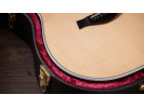 Taylor Legacy 810e 