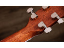 Taylor Legacy 810e 