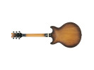 Ibanez AM53-TF Tobacco Flat 