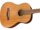 Fender  FA-25N WN Natural 