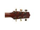 D'Addario PWAT-333L Auto-Trim Locking Tuning Machines 3 Per side Gold 