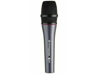 Sennheiser E 865 