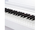 William Wagner VIVO White 