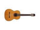 Cordoba C5 CD  