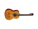 Cordoba C5 CD  