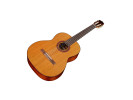 Cordoba C5 CD  