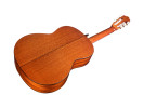 Cordoba C5 SP - Spruce 