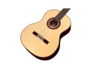 Cordoba C7 SP - Spruce 