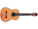 Cordoba C9 CD - Cedar With Case klasična gitara klasična gitara