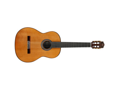 Cordoba C10 CD - Cedar With Case 