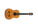 Cordoba C10 CD - Cedar With Case klasična gitara klasična gitara