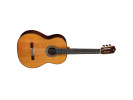 Cordoba C10 CD - Cedar With Case 