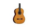 Cordoba C10 CD - Cedar With Case 