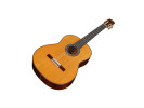 Cordoba C10 CD - Cedar With Case 
