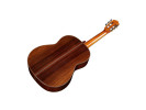 Cordoba C10 CD - Cedar With Case 