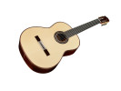 Cordoba C10 SP - Spruce With Case 
