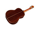 Cordoba C10 SP - Spruce With Case 