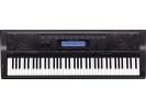 Casio WK-500 