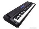 Casio WK-500 