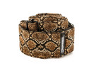 Jim Dunlop D6726 JACQUARD KING COBRA STRAP Jim Dunlop D6726 JACQUARD KING COBRA STRAP