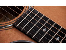 Taylor Legacy 514ce  