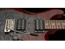 Paul Reed Smith SE CUSTOM 24 CHARCOAL CHERRY 