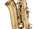 Stagg LV AS4105 