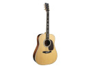 Martin D-41  