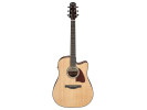 Ibanez AAD51CE-NT Natural 
