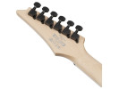 Ibanez RG421DX-TWS Twilight Shade 
