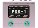 Hotone Ampero Mini Purple Taro (MP-50PT) 