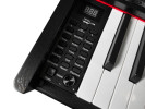William Wagner Melody Black William Wagner Melody Black