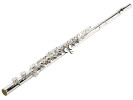 William Wagner Winds WFL-300 Flauta 