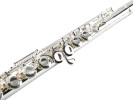 William Wagner Winds WFL-300 Flauta 