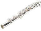 William Wagner Winds WFL-300 Flauta 