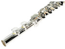 William Wagner Winds WFL-300R Flauta William Wagner Winds WFL-300R Flauta