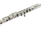 William Wagner Winds WFL-400 Flauta 