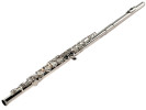 William Wagner Winds WFL-100 Flauta 