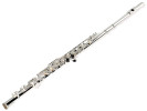 William Wagner Winds WFL-400 Flauta 