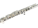 William Wagner Winds WFL-400R Flauta 