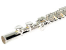 William Wagner Winds WFL-400R Flauta 