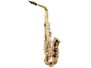 William Wagner Winds WAS-100 Alt saksofon 