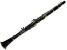 William Wagner Winds WCL-100 Klarinet 