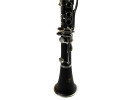 William Wagner Winds WCL-100 Klarinet 