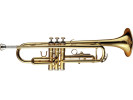 William Wagner Winds WTR-100 Truba 