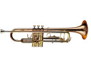 William Wagner Winds WTR-200 Truba 