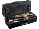 William Wagner Winds WTR-200 Truba 