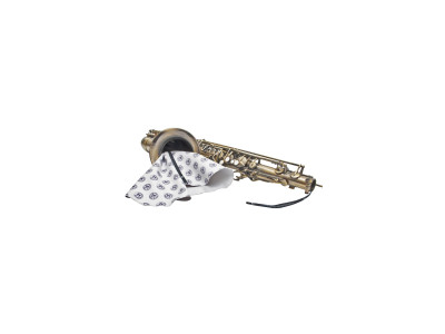 BG France Body Swab - Tenor Sax 